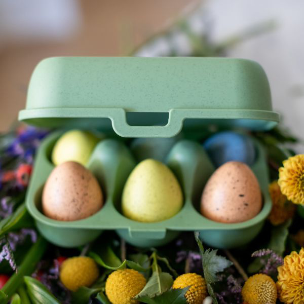 koziol Eierbox mini EGGS TO GO grün