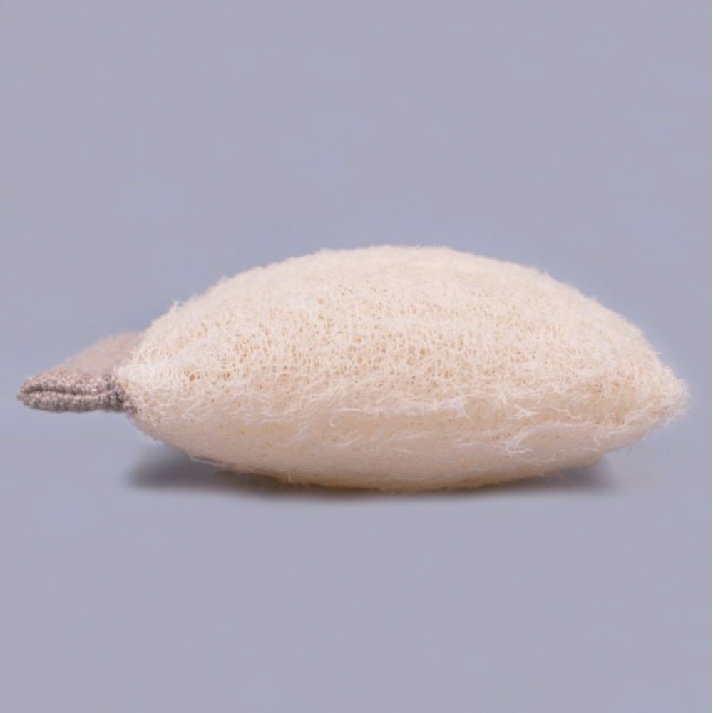 Groovy Goods Clearo-Luffa 2in1, Schwamm/Ablage für feste Reiniger