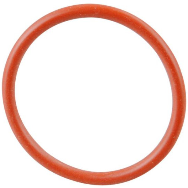 Truma O-Ring 22 x 2 mm für VarioHeat/Trumatic E 2400 (Nr. 10030-23900)
