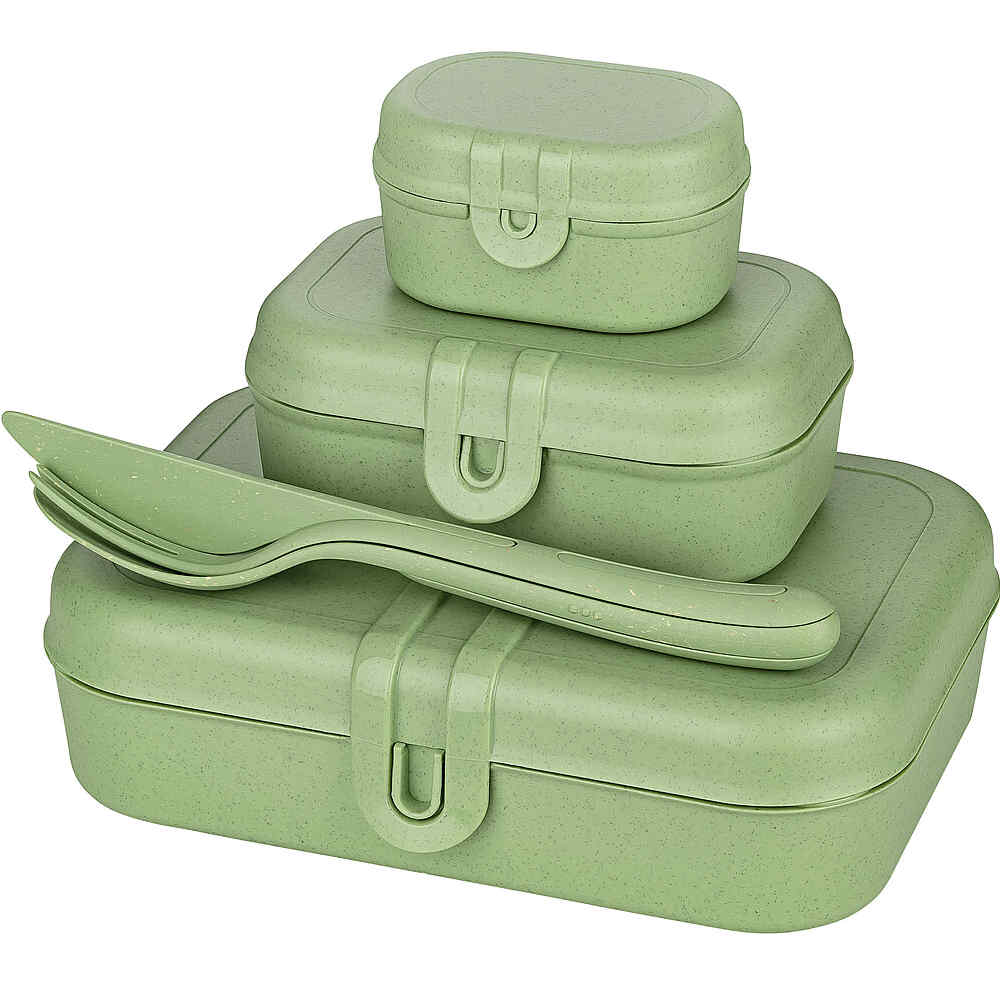 Koziol Lunchbox - und Besteck-Set PASCAL READY, nature leaf green, 4er-Set