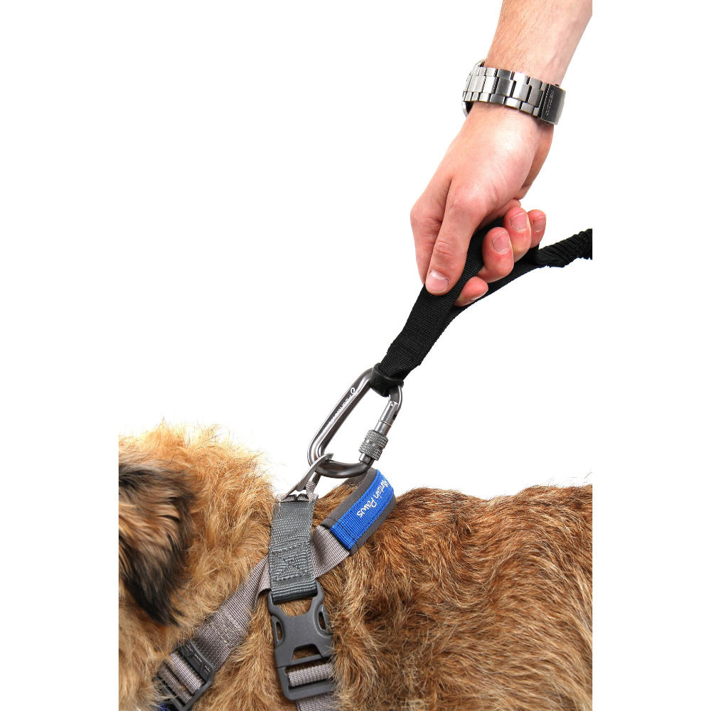 Mountain Paws Leine Shock Absorber schwarz