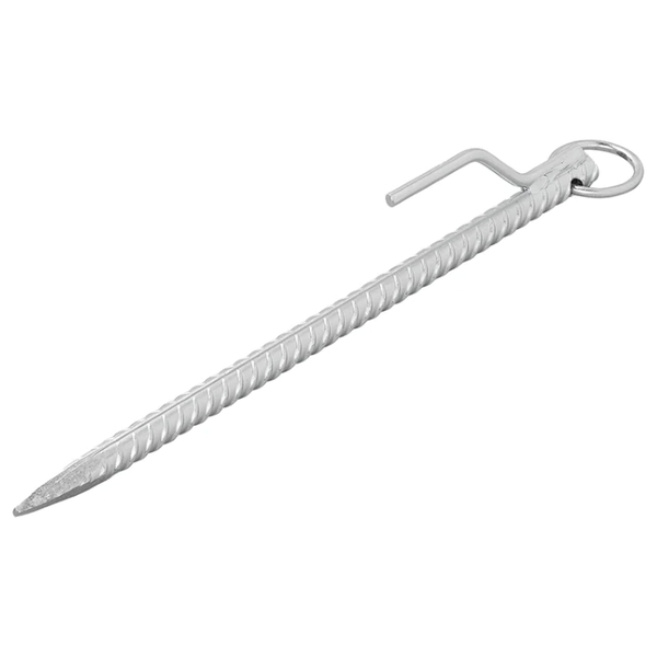 ProPlus Bodenanker mit Haken und Ring