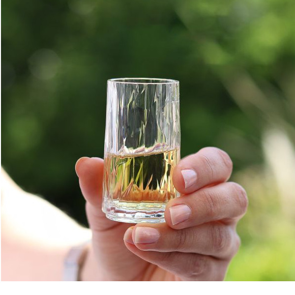 Silwy Magnet-Kunststoffgläser Schnapsglas 40 ml, 2er-Set