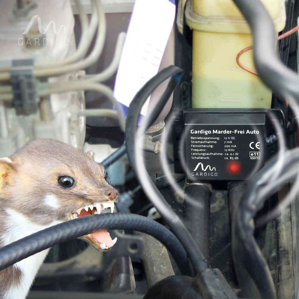 Gardigo Marder-Frei Auto
