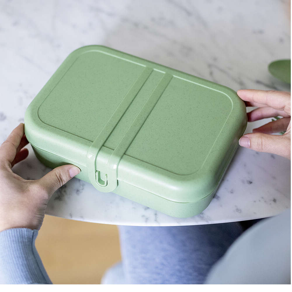 Koziol Lunchbox - und Besteck-Set PASCAL READY, nature leaf green, 4er-Set