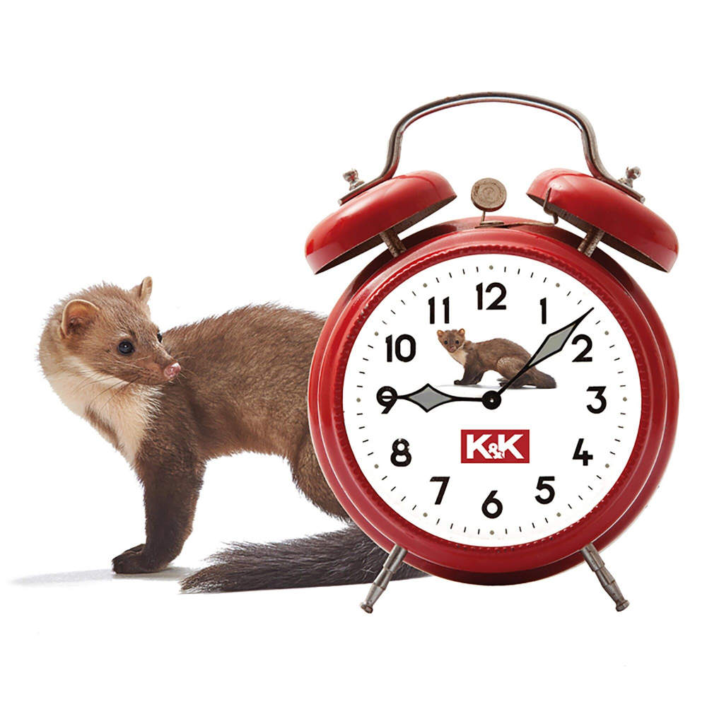 K+K Marderabwehrgerät M9900