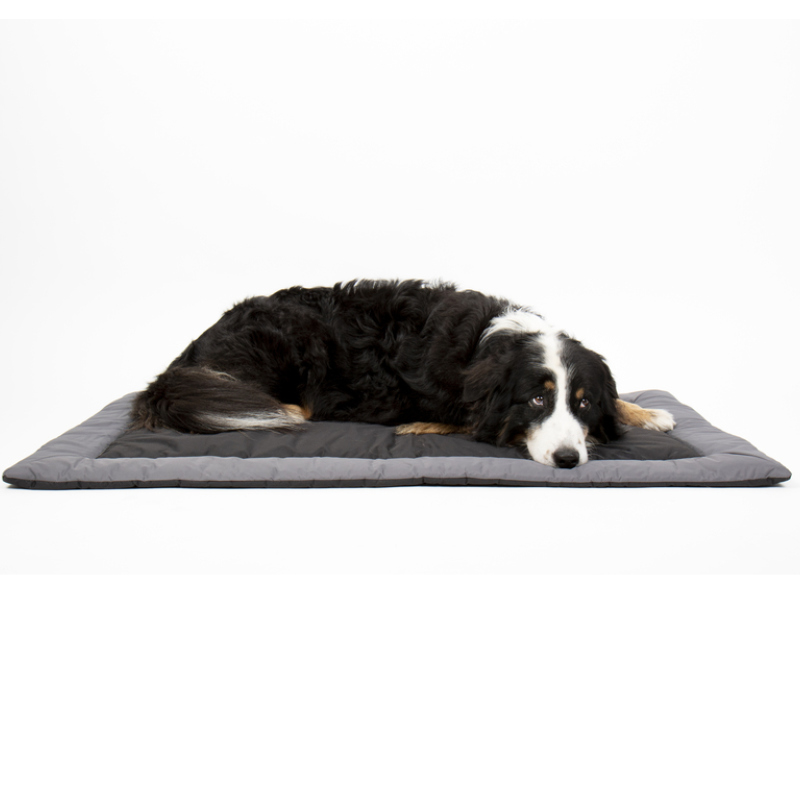 Camp4 Outdoor-Decke Abby für Hunde, 100 x 65 cm