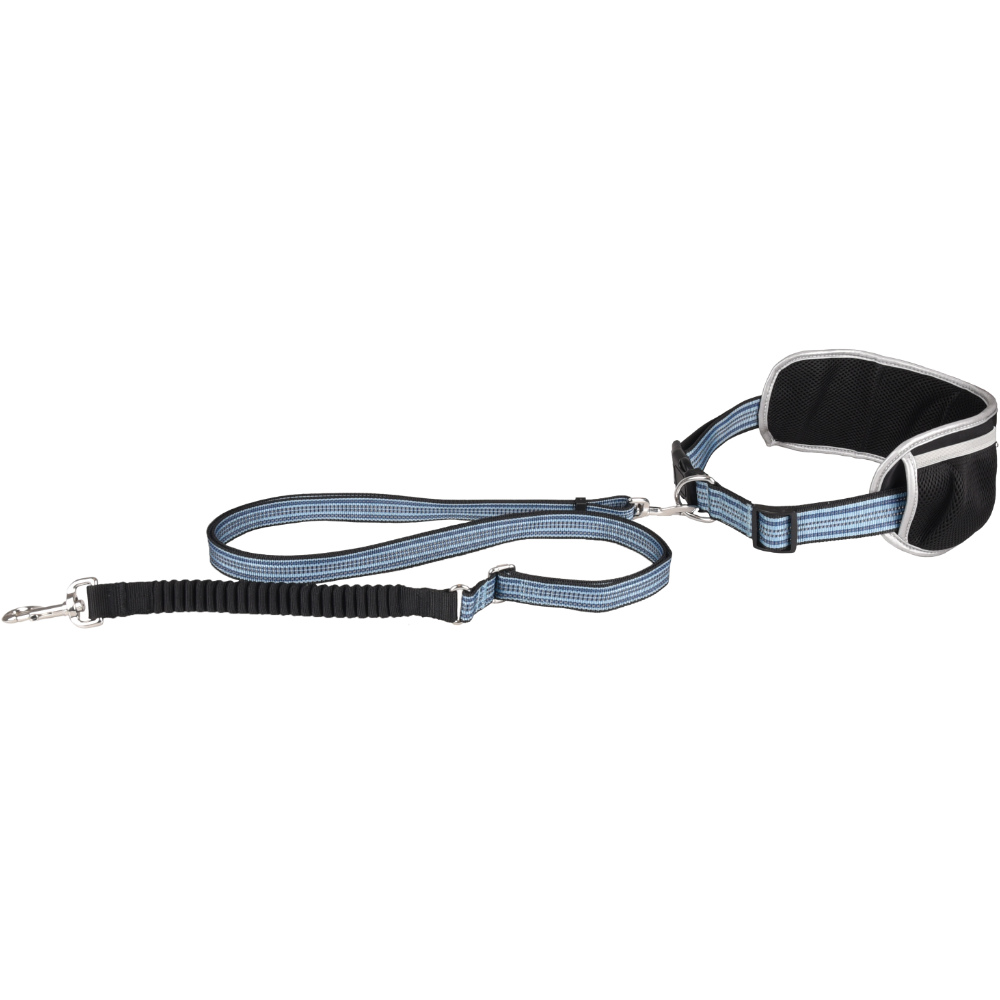 Flamingo Joggingleine und Taillengurt Rono
