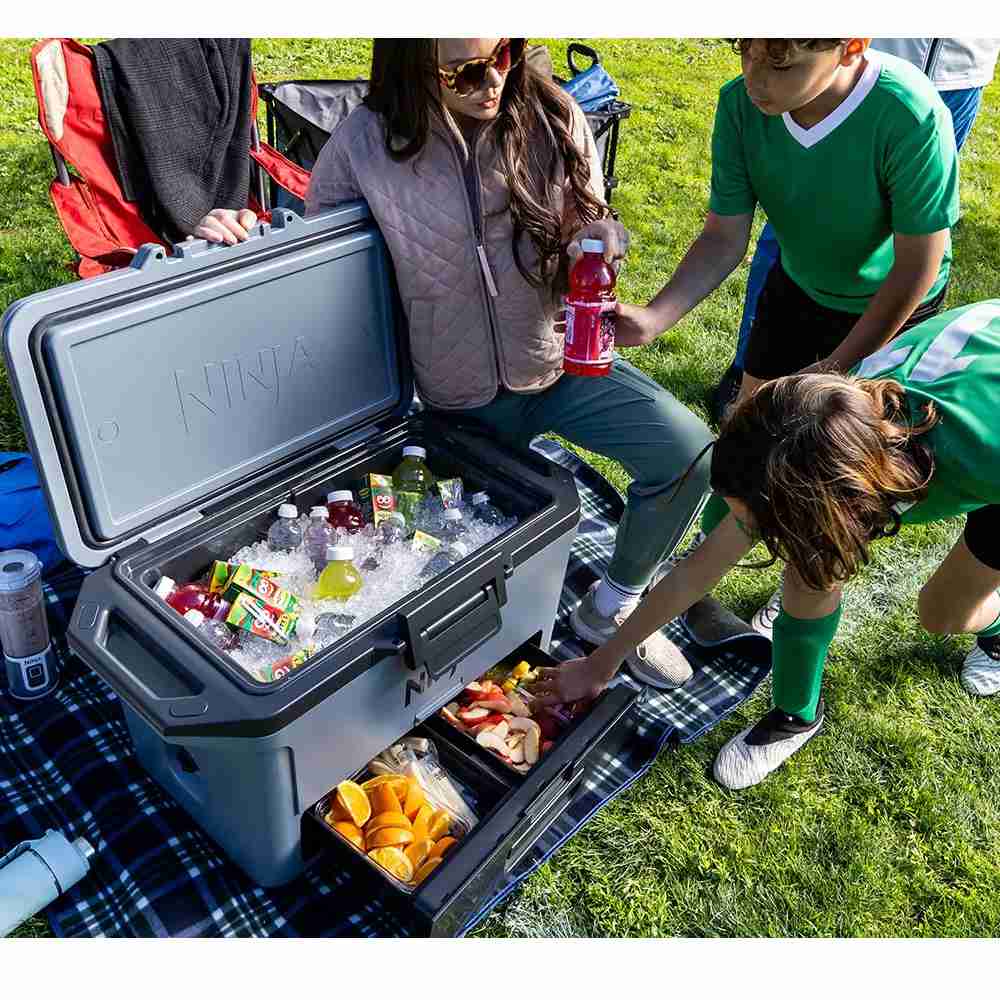 Ninja Kühlbox mit Trockenzone FrostVault 47 L schiefergrau (FB151EUGY)
