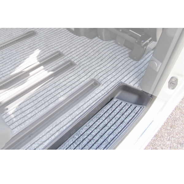 Carbest Teppich für Wohnraum Einstieg, anthrazit