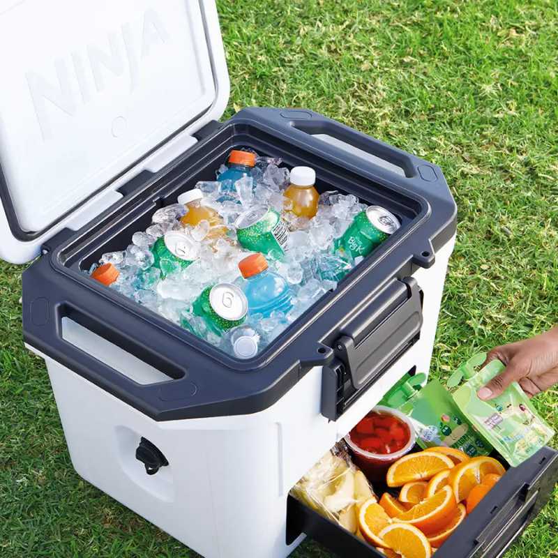 Ninja Kühlbox mit Trockenzone FrostVault 28 L, wolkenweiß - FB131EUWH