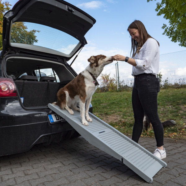 Camp4 faltbare Hunderampe Emma