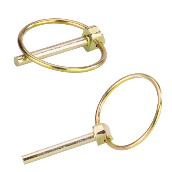 Türsicherung Elefant 9