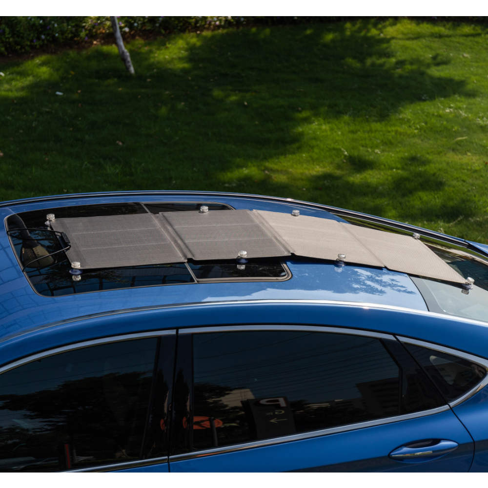 EcoFlow Solar Panel 110 W