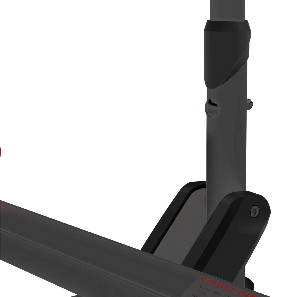 Fiamma Fahrradträger Carry-Bike DJ Ducato, komplette Version