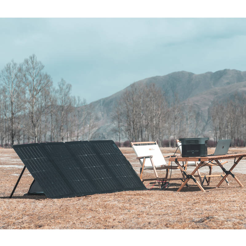 EcoFlow Solar Panel 220 W