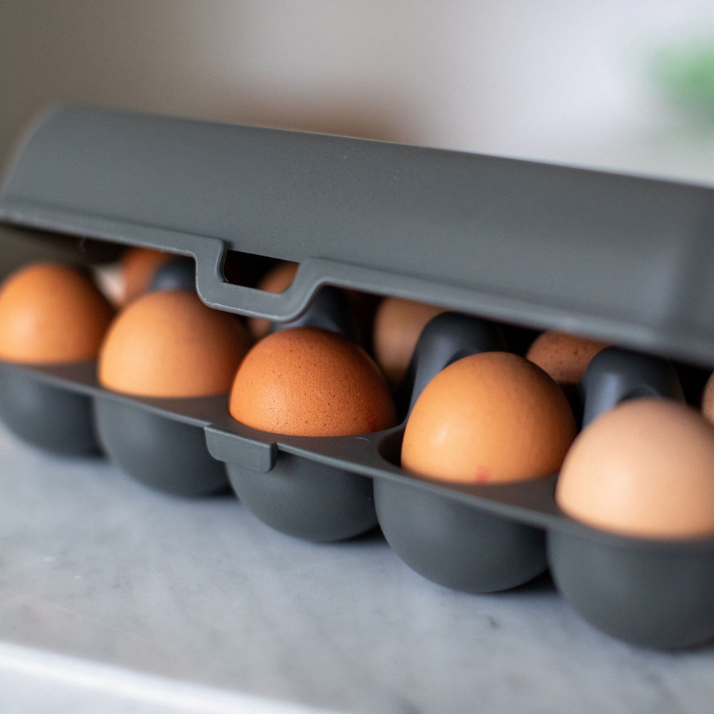 Koziol Eierbox EGGS TO GO, anthrazit