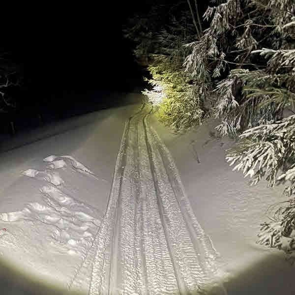 HydraCell Taschenlampe AquaTac mit Leuchtring