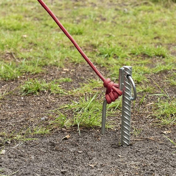 ProPlus Bodenanker mit Haken und Ring
