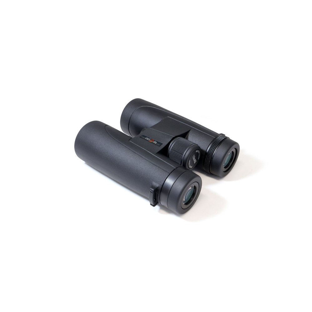 Origin Outdoors Fernglas Mountain View 10 x 42 schwarz