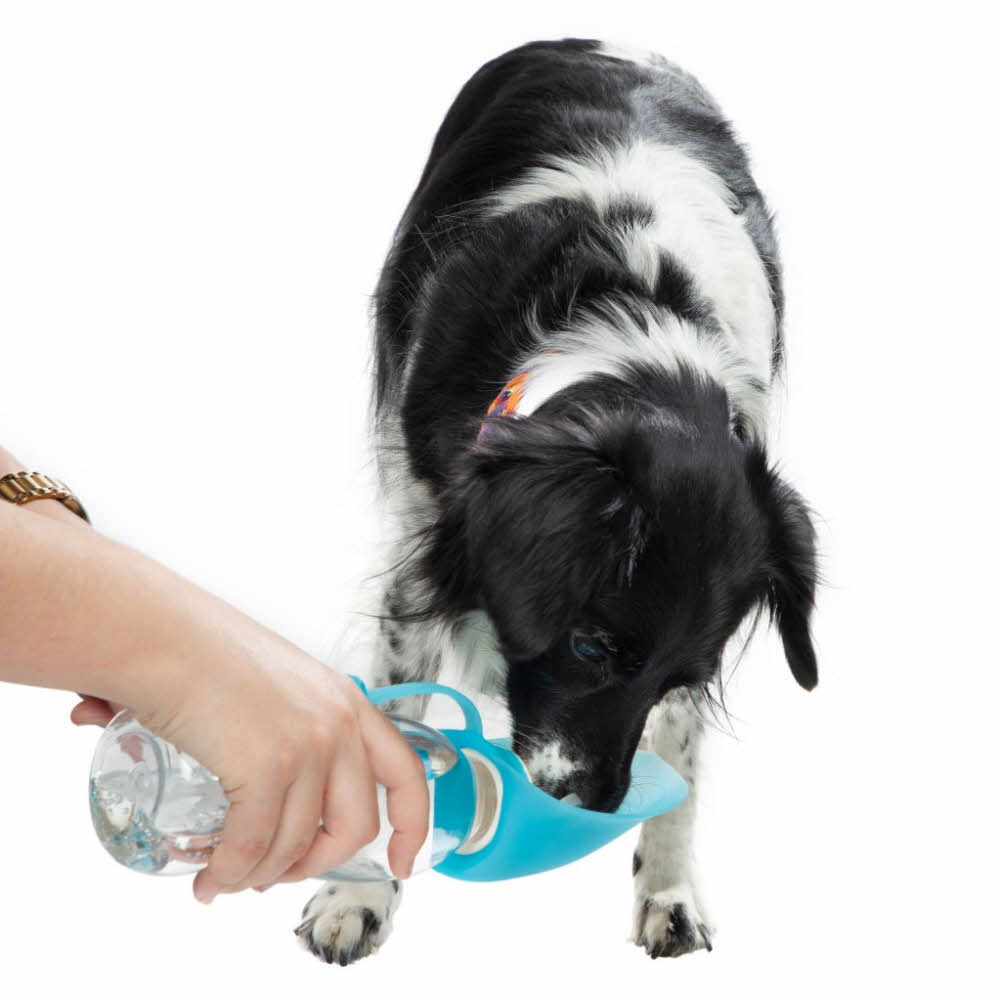 i+v Trinkflasche für Hunde