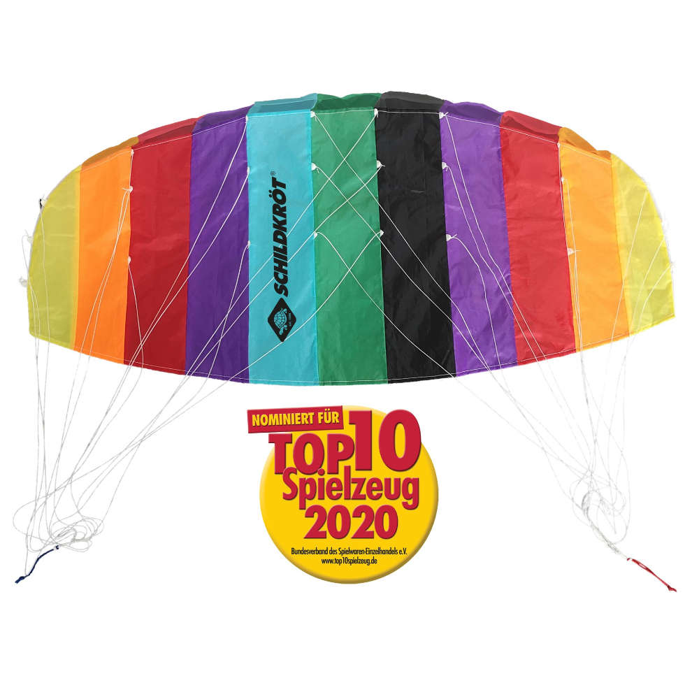 Schildkröt Lenkdrache Dual Line Sport Kite 1.3