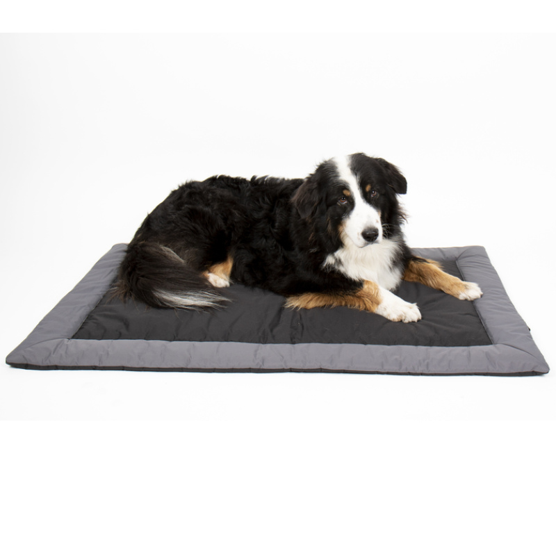 Camp4 Outdoor-Decke Abby für Hunde, 100 x 65 cm