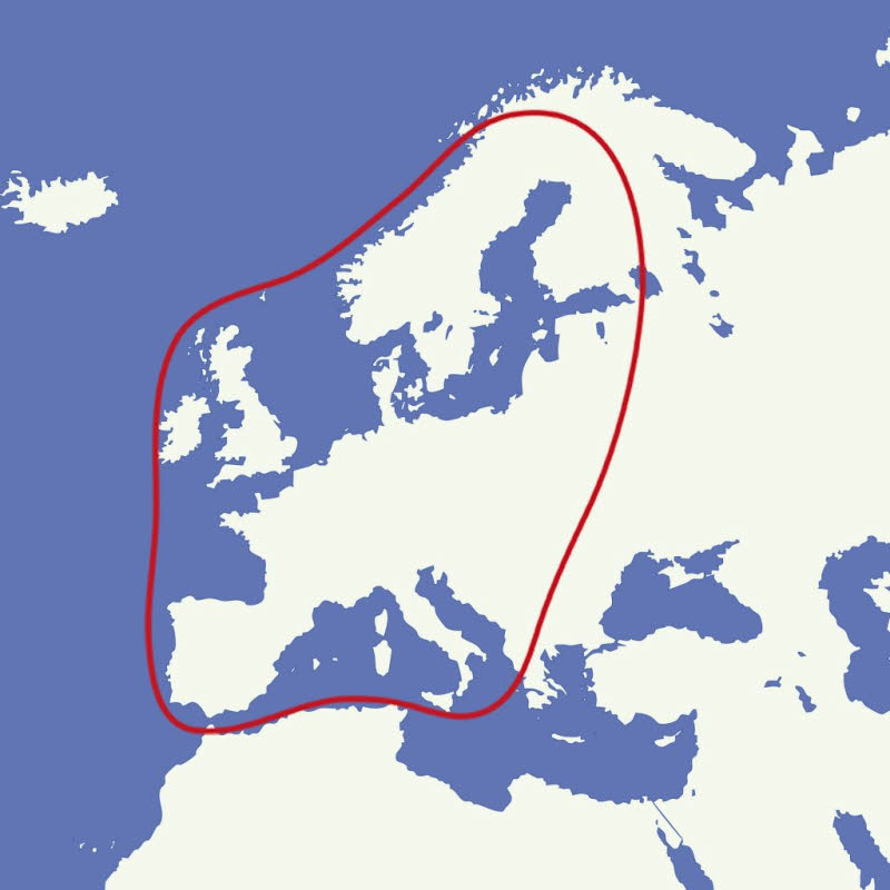 Crystop Sat-Anlage Light S Digital Single mit Ein-Knopf-Bedienteil, schwarz