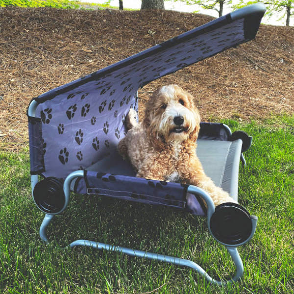 Disc-O-Bed Hundebett Dog Bed