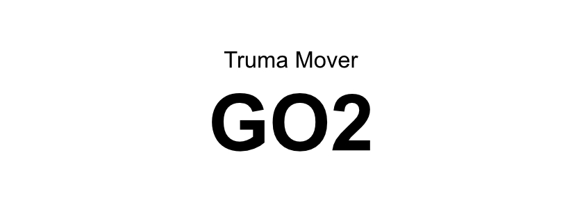2025-07-22 Mover GO2