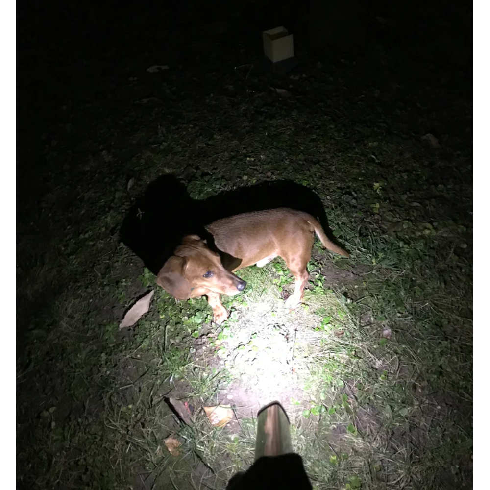 Disc-O-Bed Outdoor- und Campinglicht X5