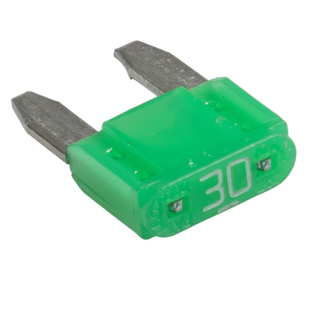 Clesana 30A Sicherung (PCB) für C1 Toilette