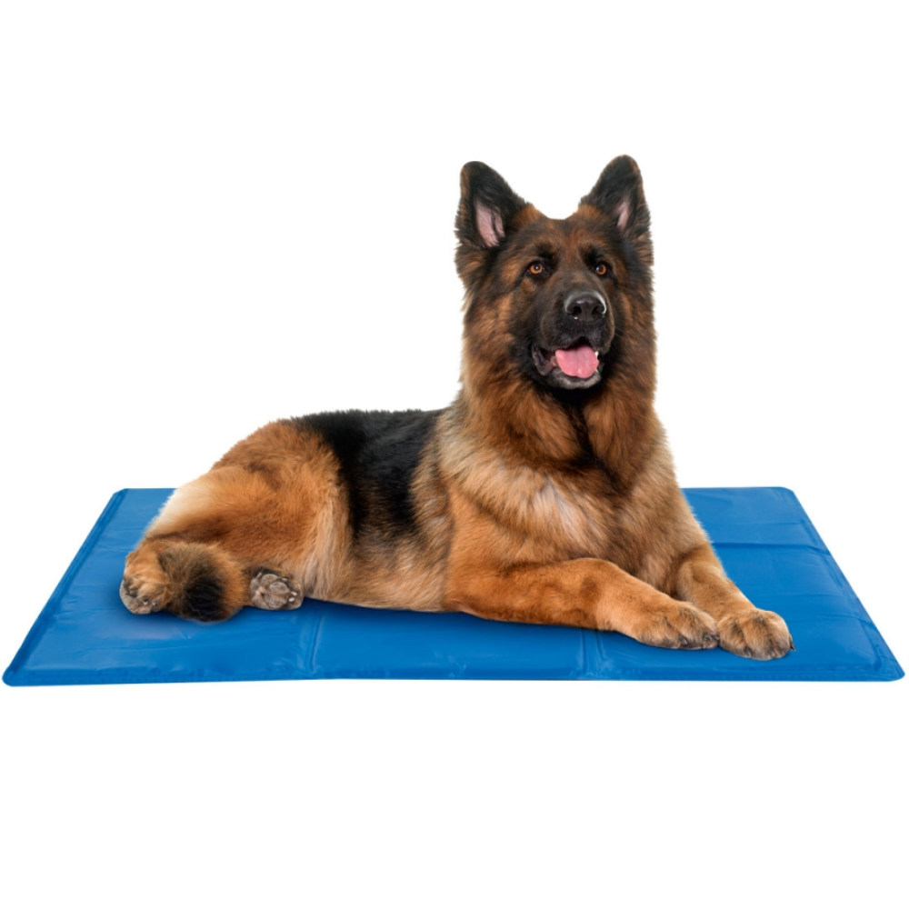 Hunde-Kühlmatte