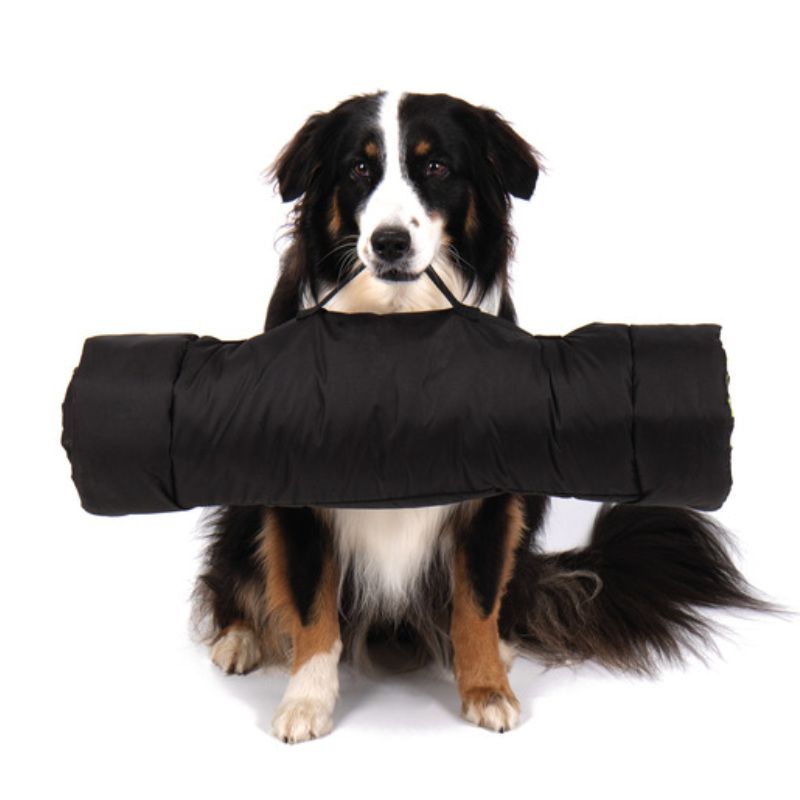 Camp4 Outdoor-Decke Abby für Hunde, 100 x 65 cm