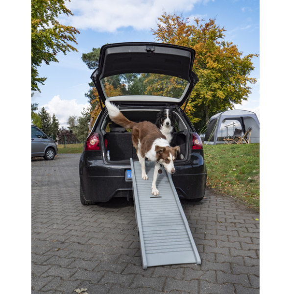 Camp4 faltbare Hunderampe Emma